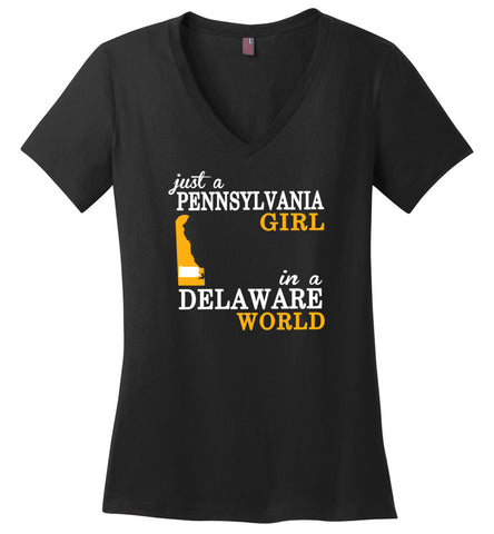 Just A Pennsylvania Girl In A Delaware World - Ladies V-Neck